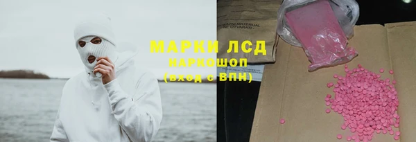 гашик Семилуки